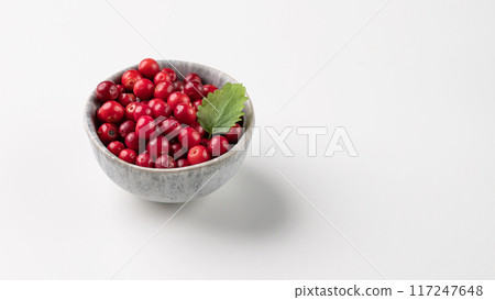 Juicy forest lingonberry in a  bowl on a white isolated background. Fresh red cowberry. 117247648
