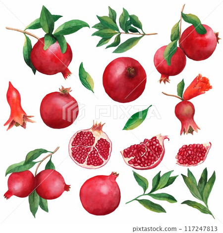 Pomegranate watercolor illustration with fruits, branches, flowers, leaves, isolated on white background. Pomegranate whole and half cutted elements. 117247813