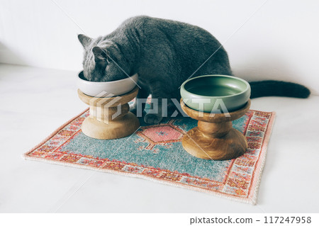 貓吃米飯 117247958