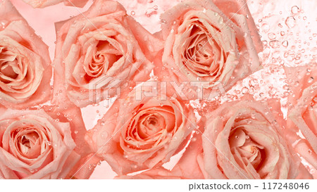 Close-up of rose blossom falling on water surface , top down view Close-up of rose blossom falling on water surface , top down view 117248046