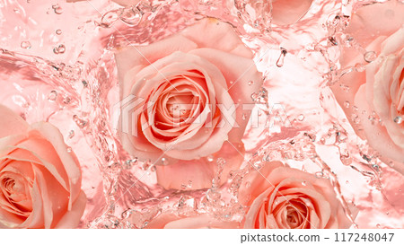 Close-up of rose blossom falling on water surface , top down view 117248047