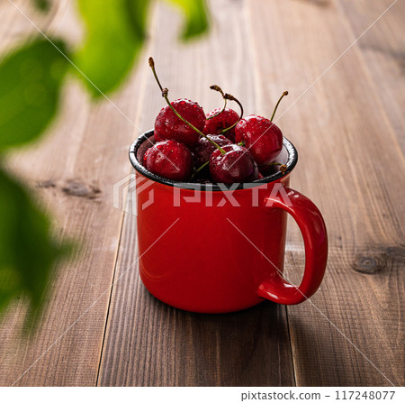 Juicy wet cherries in a red mug on a dark wooden background with leaves close up  117248077
