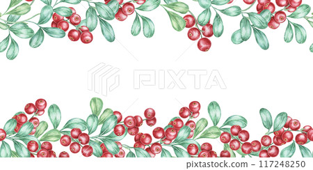 Cranberry seamless border watercolor clipart with an elegant design of red berry clusters and green leaves. Perfect for botanical prints, event invitations, or seasonal merchandise branding 117248250