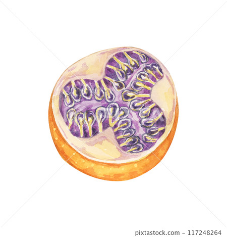 Halved orange sweet granadilla. Yellow passion fruit half with seeds watercolor illustration. Maracuja clipart perfect for recipe books, food blogs, or organic product branding. Halved orange sweet granadilla. Yellow passion fruit half with seeds watercolor illustration. Maracuja clipart perfect for recipe books, food blogs, or organic product branding. 117248264