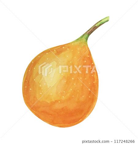 Whole orange sweet granadilla. Yellow passion fruit watercolor illustration. Maracuja clipart perfect for botanical illustrations, natural product packaging, or tropical-themed designs. 117248266