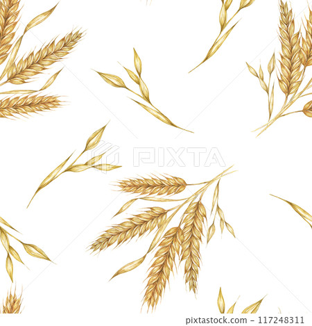 Golden wheat or barley spikes background. Watercolor seamless pattern Perfect for textile design, rustic-themed packaging, eco-friendly branding, and nature-inspired wallpapers and stationery 117248311