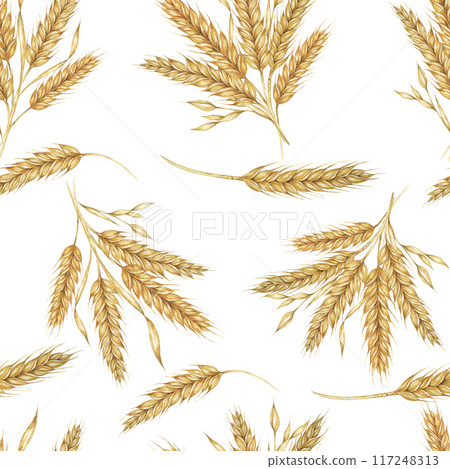 Clusters of golden Barley or Wheat ears. Watercolor seamless pattern for autumn-themed textiles, rustic wallpaper, eco-friendly product packaging, and organic branding materials, Shavuot, thanksgiving 117248313