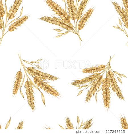 Golden wheat or barley spikes background. Watercolor seamless pattern Perfect for textile design, rustic-themed packaging, eco-friendly branding, and nature-inspired wallpapers and stationery 117248315