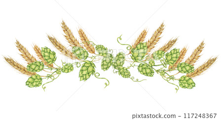 Hops and barley composition in watercolor. Green humulus lupulus cones and wheat ears arrangement, banner for Oktoberfest, St Patrick's day, beer labels, traditional festival clipart 117248367