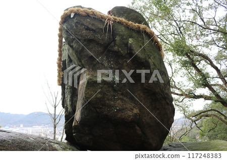 香川縣宇多津町三井岩 117248383