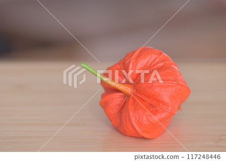 A symbol of summer: Physalis A symbol of summer: Physalis 117248446