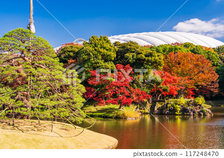 [Tokyo] Koishikawa Korakuen: Autumn leaves 117248470