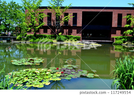 福岡縣久留米市，石橋文化中心，春天的花園景觀，久留米市美術館旁的池塘景觀 117249554