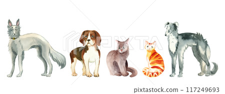 A set of watercolor illustrations. Pets, dogs of different breeds, beagle, greyhound, grey and red cat. All objects are hand-drawn with watercolors. Suitable for printing on fabric, paper, for books. 117249693