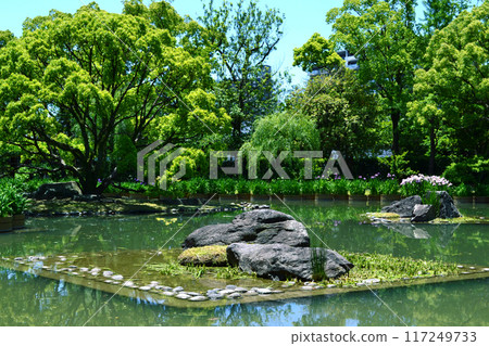 Spring garden scenery at Ishibashi Cultural Center, Kurume City, Fukuoka Prefecture, Iris Garden Spring garden scenery at Ishibashi Cultural Center, Kurume City, Fukuoka Prefecture, Iris Garden 117249733