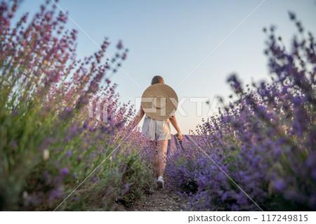 A woman is walking through a field of purple flowers with a straw hat on 117249815