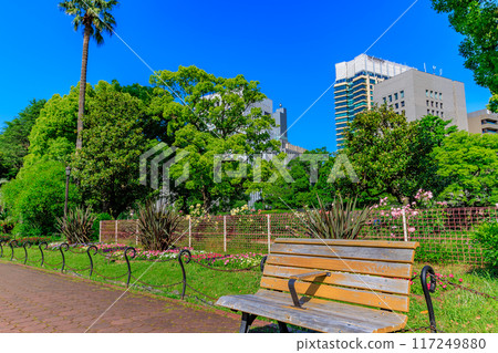 東京都千代田區春天的日比谷公園(第一花圃) 東京都千代田區春天的日比谷公園(第一花圃) 117249880