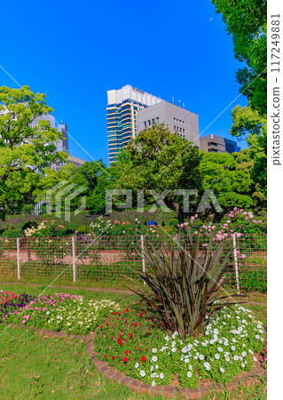 東京都千代田區春天的日比谷公園(第一花圃) 東京都千代田區春天的日比谷公園(第一花圃) 117249881