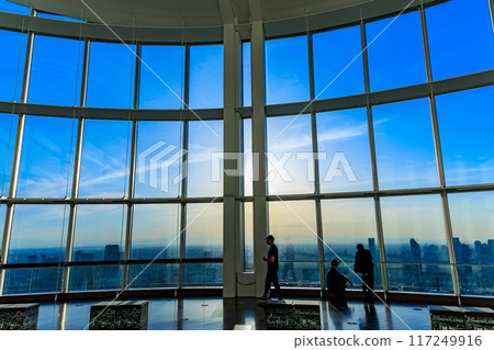Tokyo Minato Ward Roppongi Hills Observatory Tokyo Sky View 117249916