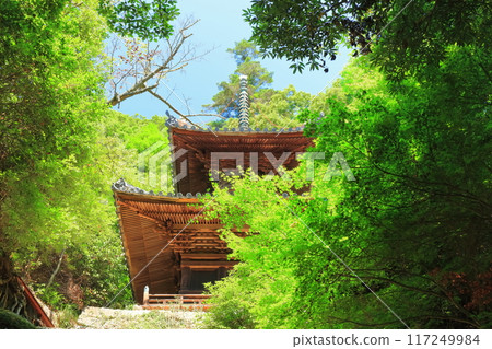 [香川縣] 四國聖地「第71寺」彌耶寺（健五山/千手院）多寶塔 117249984