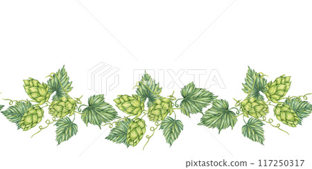 Hops and leaves seamless border in watercolor. Green humulus lupulus repeating pattern banner for Oktoberfes, St Patricks day, beer labels, brewery art. Hop cones clipart for festival, flyers 117250317