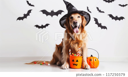 Golden Retriever in Witch Costume with Pumpkin Basket 117250379