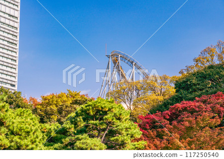 [東京]小石川後樂園 秋葉 117250540