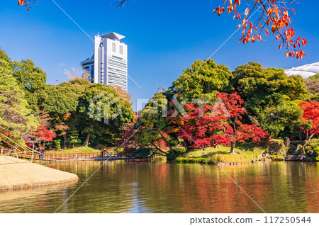 [Tokyo] Koishikawa Korakuen: Autumn leaves 117250544