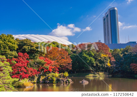 [Tokyo] Koishikawa Korakuen: Autumn leaves 117250642