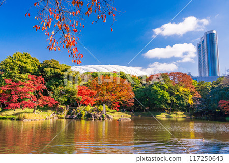 [Tokyo] Koishikawa Korakuen: Autumn leaves 117250643
