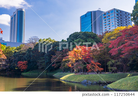 [Tokyo] Koishikawa Korakuen: Autumn leaves 117250644