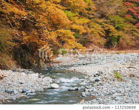 Autumn in Tanzawa and Yushin Valley Autumn in Tanzawa and Yushin Valley 117250699