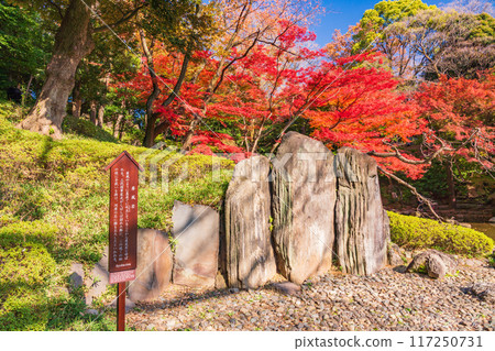 [東京]小石川後樂園 秋葉 117250731