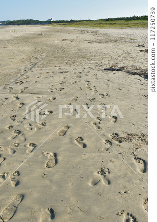 沙灘上的腳印 117250739