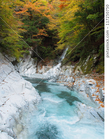 Autumn in Tanzawa and Yushin Valley Autumn in Tanzawa and Yushin Valley 117250750