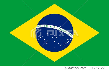 Brazil flag national material design	 117251220