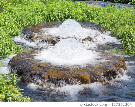 靜岡縣，有富士泉水噴口的公園，五月 117251304