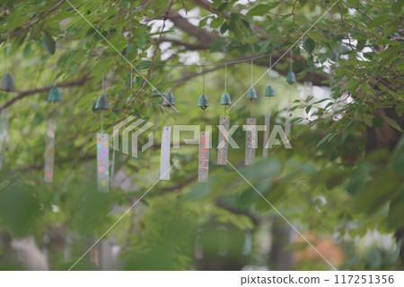 Southern wind chimes 117251356