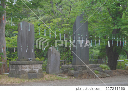 Southern wind chimes 117251360