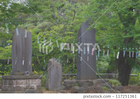 Southern wind chimes 117251361