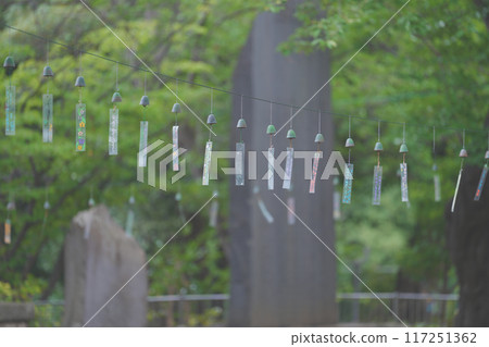 Southern wind chimes Southern wind chimes 117251362