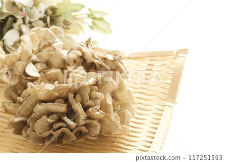 Maitake mushrooms in a colander 117251593
