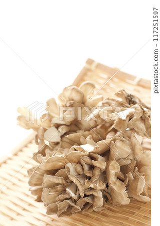 Maitake mushrooms in a colander Maitake mushrooms in a colander 117251597