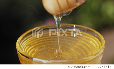 Honey. Dripping honey. Extraction honey with a dipper 117251617