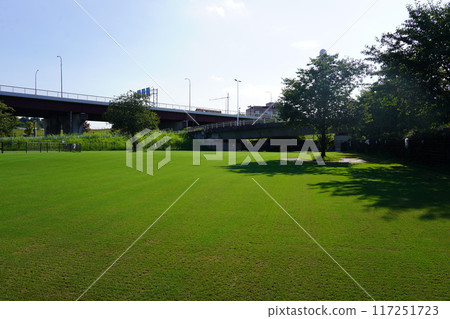 新橫濱公園狗跑 117251723