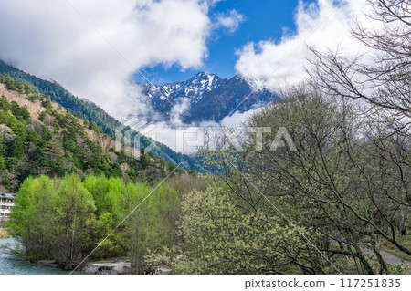 Early summer on the Kamikochi Nature Trail: Early morning forest walk. View of Maehotakadake and the Azusa River from Tashiro Bridge. Early summer on the Kamikochi Nature Trail: Early morning forest walk. View of Maehotakadake and the Azusa River from Tashiro Bridge. 117251835
