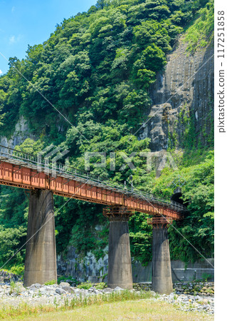 大分縣豐後大野市岩戶的夏日風景 117251858