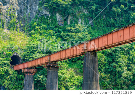 大分縣豐後大野市岩戶的夏日風景 117251859