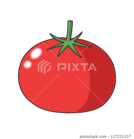 Simple tomato illustration 117252257