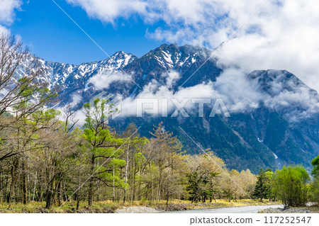 Early summer on the Kamikochi Nature Trail: Early morning forest walks on Mount Maehotaka and Mount Myojin 117252547